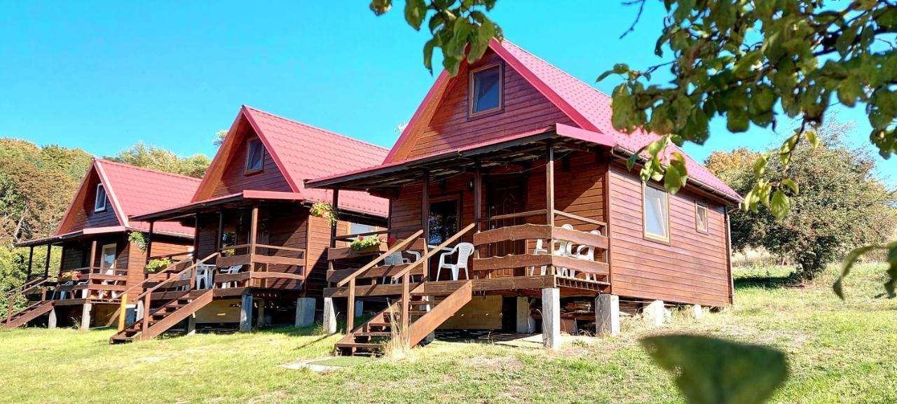 Pod Kasztanem Apartment Lubin  Exterior photo