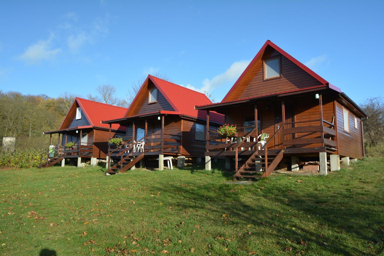 Pod Kasztanem Apartment Lubin  Exterior photo